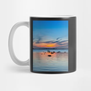 Summer Means Swimming Mug